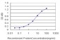 PPIL1 Antibody (monoclonal) (M01)